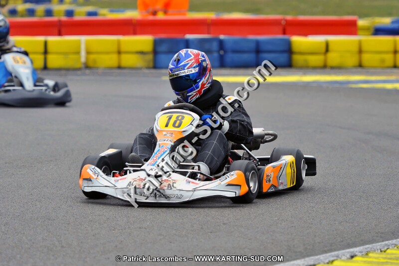 DSC_ (1824).jpg